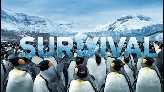 🐧Penguins &ndash; The Art of Survival in Antarctica ❄️#Penguins #Antarctica#ScienceOfLife #EducationalPost