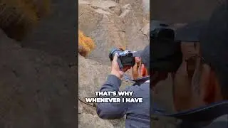 From the last episode in Chile&rsquo;s cactus habitat 😎 #copiapoa
