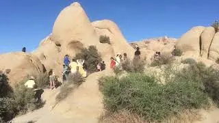 Skull Rock at JTNP 6/8/2024