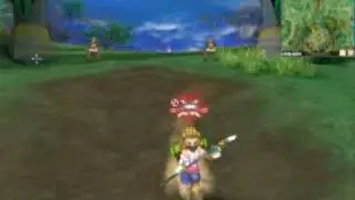 Rose Evolution