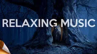 Study Music Background Music | Lo-Fi Tunes for Relaxation & Study Focus