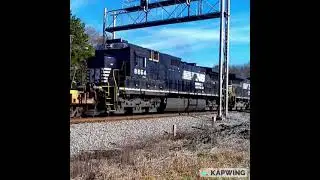 One smart driver & Two Idiots Jenkinsburg GA