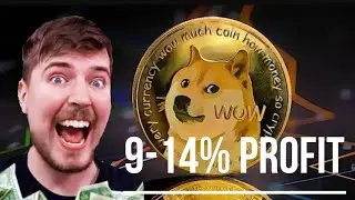 Crypto Arbitrage Trading Doge coin | April 2024 | Crypto Exchangers | 9-14% profit