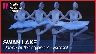 Swan Lake: Dance of the Cygnets | English National Ballet