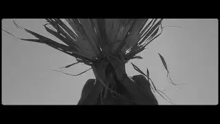 Ethnique Punch - Ayyuk ft. Miray (Official Video)