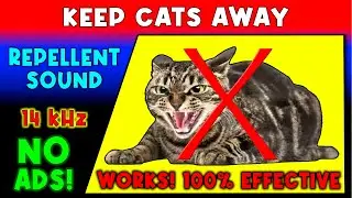 ANTI CATS REPELLENT SOUND ⛔😼🐈 KEEP CATS AWAY - ULTRASONIC SOUND
