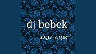 Party from Bebek