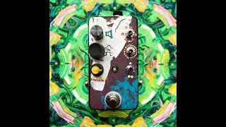 BASS FUZZ OSCILLATION