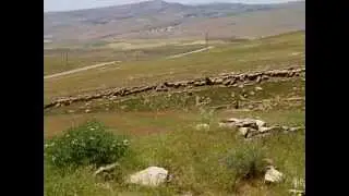 Eski Deregezen