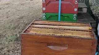 checking the supers for capped honey