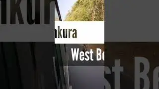 Jaipur Forest From Bus | Natural Vegetation| Green Corridor| Jungle|🌳