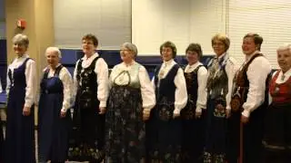 Bunad parade