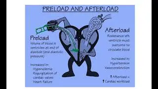 Preload MRCS question solve (CRACK MRCS)
