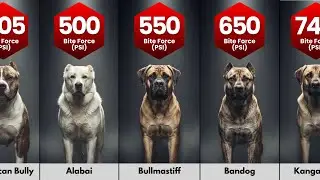 Dog Breeds With Bite Force Powerful Enough to Be Fatal