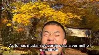 Jap&atilde;o tem muito bonitas Koyo.