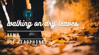 Walking on dry leaves-ASMR Relaxing sound -Peaceful sound.