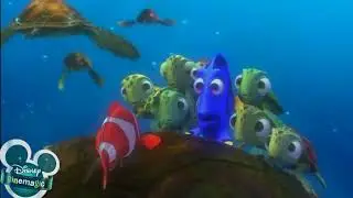 Finding Nemo 3D Disney Cinemagic Advert