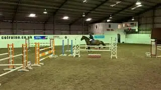 Henk Junior (Kannan x Iroko), 110, Colraine EC