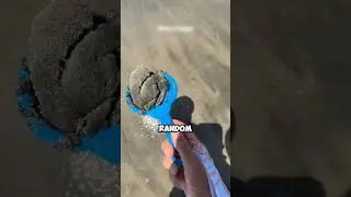 Finding sand crab. #shorts