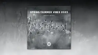Audiofive - Momentum (Original Mix) [Another Life Music]