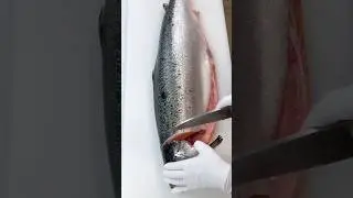Awesome satisfying salmon cutting skill!