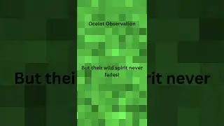 Minecraft Facts