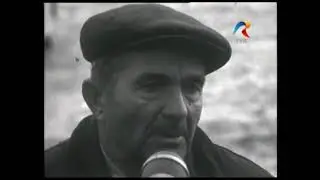 Pitești, 1969: Miliția depistează mașini de stat folosite în interes personal