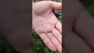 Яма смерті  #nature