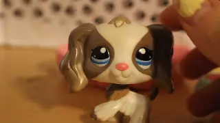 Rarest LPS Cocker Spaniel #2254 (My New LPS #23)