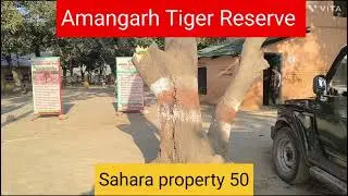Tiger Reserve Office Amangarh India #masterjiproperty50 #saharaproperty50 #shorts #ytshorts