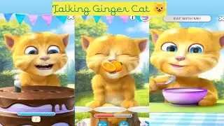 Talking Ninja Cat 😂🥷 | Funny Reactions, Food Time & Crazy Fighting Moves!