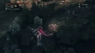 &ldquo;Invader win&rdquo; aka BLOODBORNE PVP 2026 