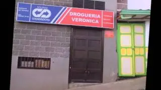 PROYECTO COPIDROGAS