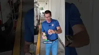 GOT A WASP NEST? Get rid of it with these simple steps.
