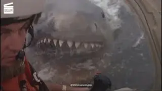 Les Dents de la mer 2 : Hélicoptère vs. Requin blanc CLIP HD
