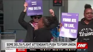 Delta Flight Attendants Push To Form Union