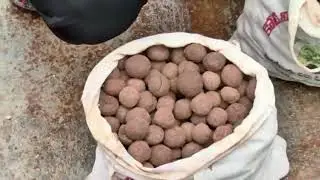 1 Crore Seed Balls - Preparation and Dropping By Drone and Hands - Video-1Mahabubnagar - T.S