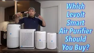Какой очиститель воздуха Levoit Smart вам стоит купить?