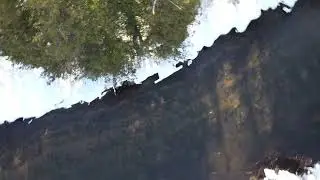 Jordan River- natural & scenic