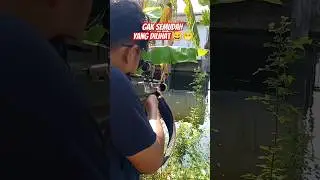 Nembak ikan pake red dot tidak mudah ternyata #hunting #fishing #berburu #nembakikan #paserikan #fyp