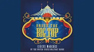 The Big Cage