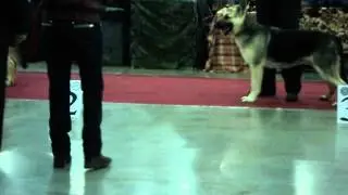 MOV03406.AVI Сравнение на ЛЮ