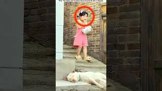 Playful trouble between a dog and a little girl #shorts
