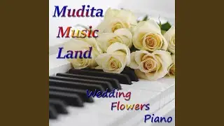 Evening Harmony