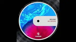 Molino - Mr Marvin (Original Mix)