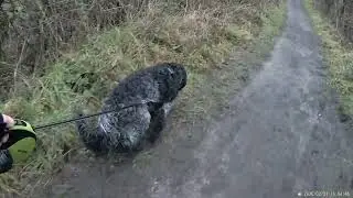 Walkies 1 2 26