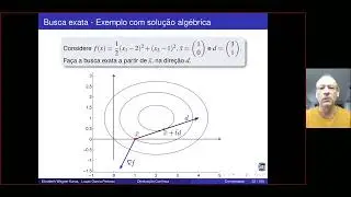 Cap&iacute;tulo 4 - Busca exata e busca de Armijo