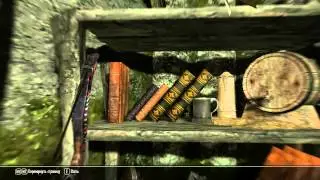 THE ELDER SCROLLS V: SKYRIM - 25 СЕРИЯ (TIM)