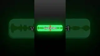 How To Make a Funny Meme Voice Effect in Premiere Pro