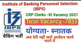IBPS BANK VACANCY || HOW TO IBPS Clerk BANK FROM ONLINE ||BANKING IBPS CLERK ONLINE FROM BHARTI ||